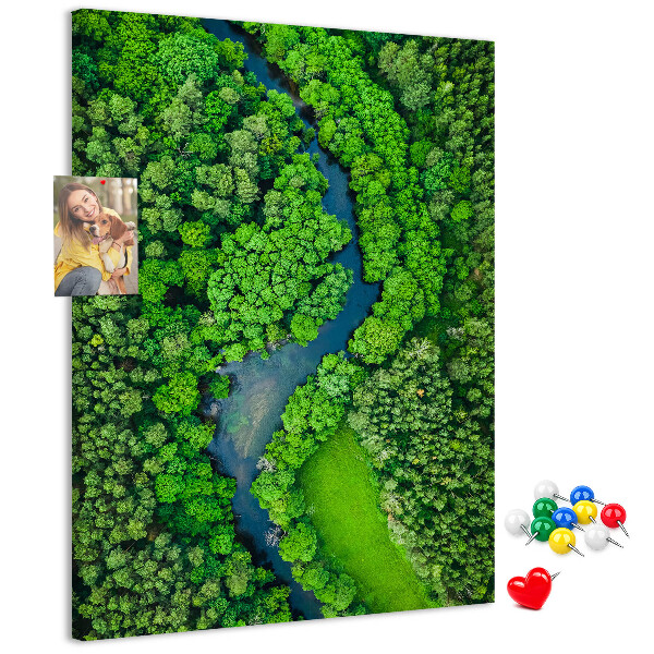 Nástěnka na zeď Zelená krajina s klikatou řekou
