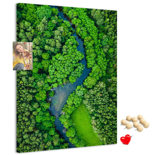 Nástěnka na zeď Zelená krajina s klikatou řekou