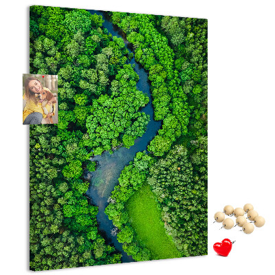 Nástěnka na zeď Zelená krajina s klikatou řekou
