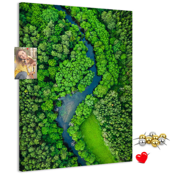 Nástěnka na zeď Zelená krajina s klikatou řekou