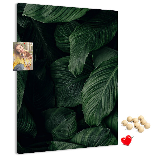 Nástěnka na zeď Zelené listy na tmavém pozadí