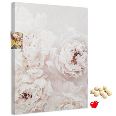 Nástěnka na zeď Jemné pivoňky ve světlých odstínech