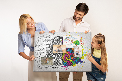 Nástěnka Mozek a kreativita v barevné harmonii