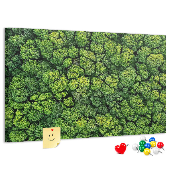 Nástěnka Zelený les s hustou vegetací
