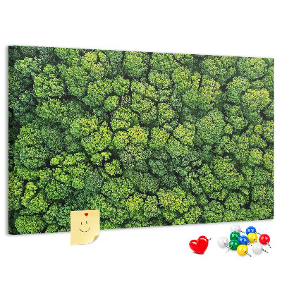 Nástěnka Zelený les s hustou vegetací
