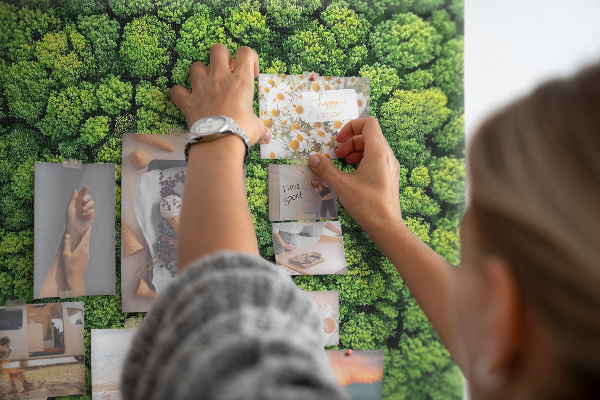 Nástěnka Zelený les s hustou vegetací