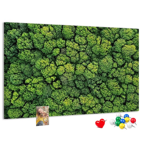 Nástěnka Zelený les s hustou vegetací