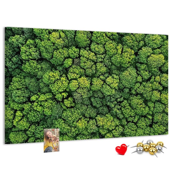 Nástěnka Zelený les s hustou vegetací