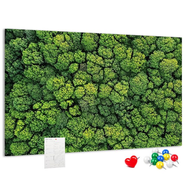 Nástěnka Zelený les s hustou vegetací