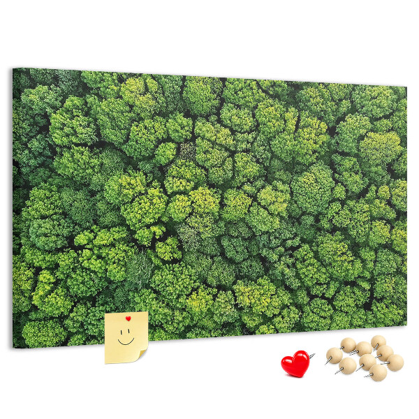 Nástěnka Zelený les s hustou vegetací