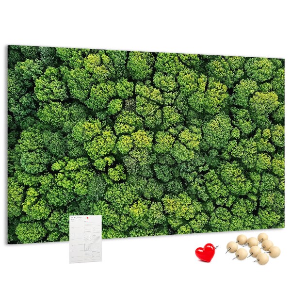 Nástěnka Zelený les s hustou vegetací