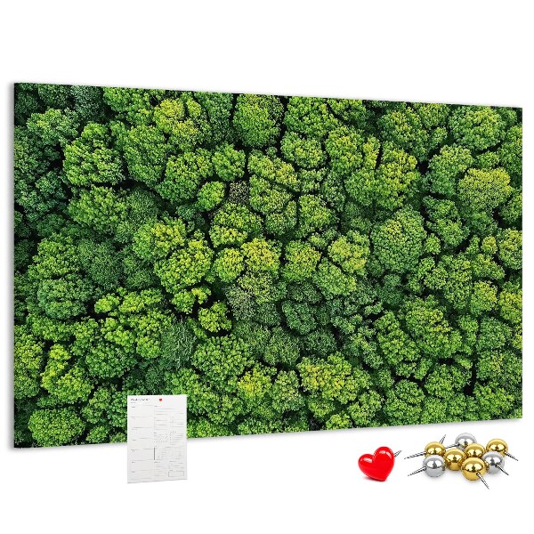 Nástěnka Zelený les s hustou vegetací