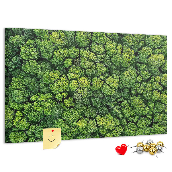 Nástěnka Zelený les s hustou vegetací