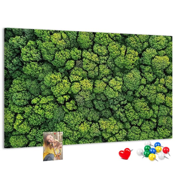 Nástěnka Zelený les s hustou vegetací