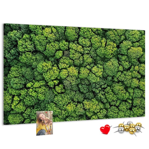 Nástěnka Zelený les s hustou vegetací