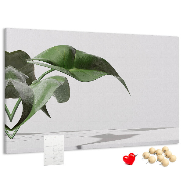 Nástěnka Jemné listy na minimalistickém pozadí
