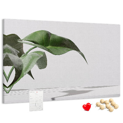 Nástěnka Jemné listy na minimalistickém pozadí