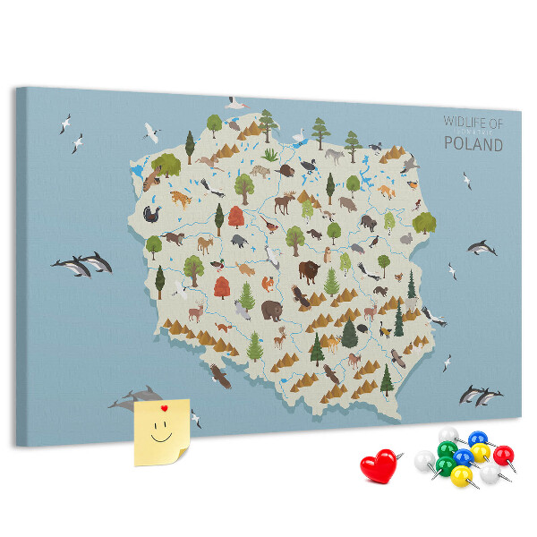 Fětská nástěnka Polská fauna na barevné mapě
