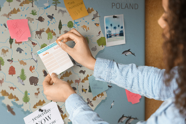 Fětská nástěnka Polská fauna na barevné mapě