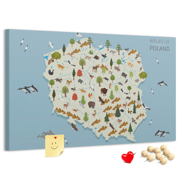 Fětská nástěnka Polská fauna na barevné mapě