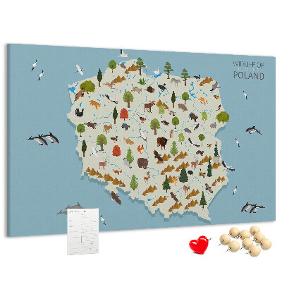 Fětská nástěnka Polská fauna na barevné mapě