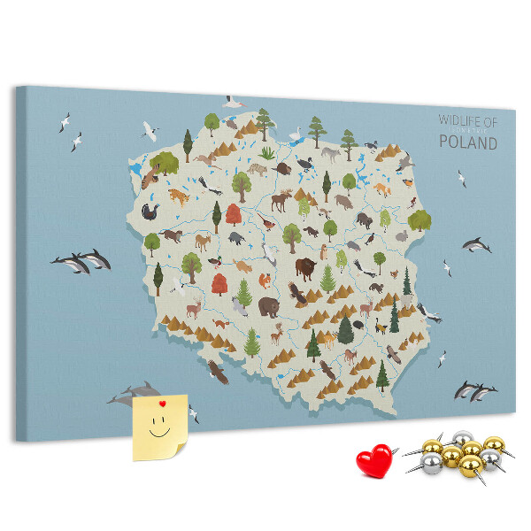 Fětská nástěnka Polská fauna na barevné mapě