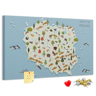 Fětská nástěnka Polská fauna na barevné mapě