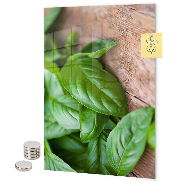 Tabule na magnety Bazalka