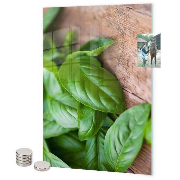 Tabule na magnety Bazalka
