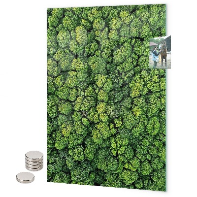 Tabule na magnety Bazalka