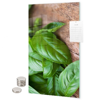 Tabule na magnety Bazalka
