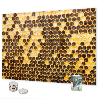 Magnetická tabule na zeď voština