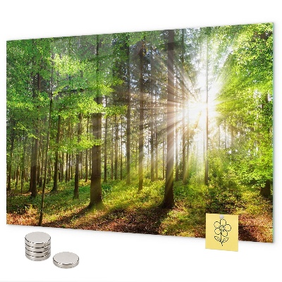 Magnetická tabule východ slunce v lese