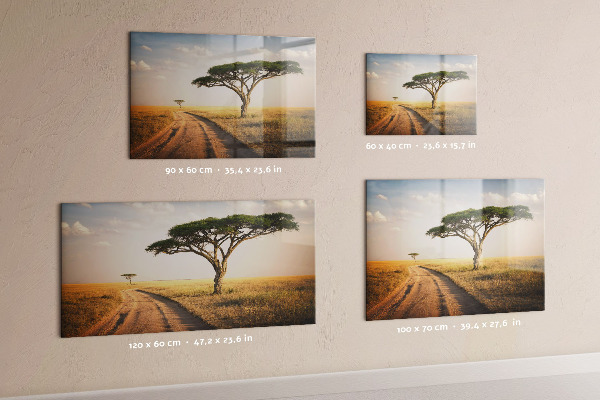 Magnetická tabule na zeď motiv africká krajina