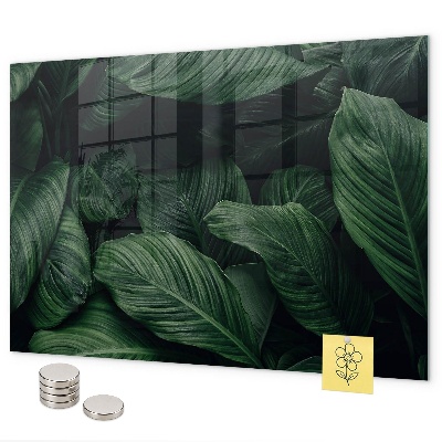 Magnetická tabule na zeď motiv tropická monstera