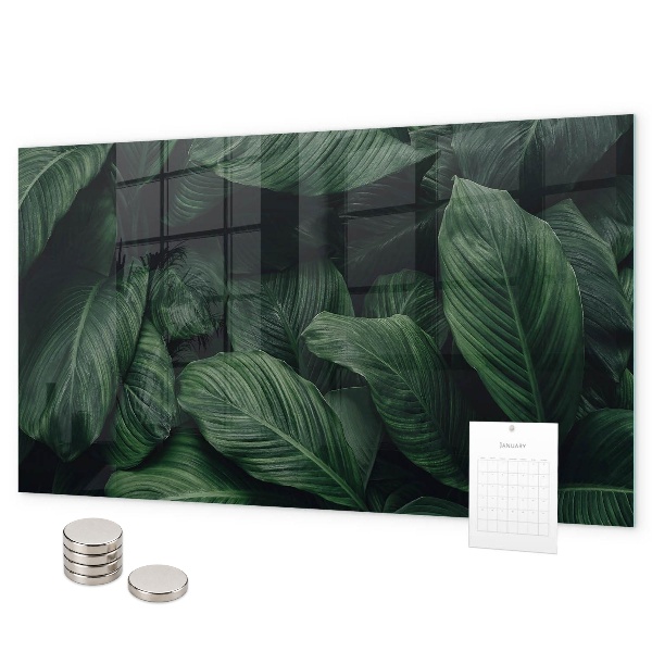 Magnetická tabule na zeď motiv tropická monstera