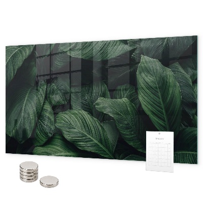 Magnetická tabule na zeď motiv tropická monstera