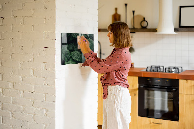 Magnetická tabule na zeď motiv tropická monstera