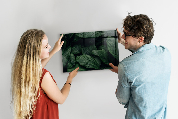 Magnetická tabule na zeď motiv tropická monstera