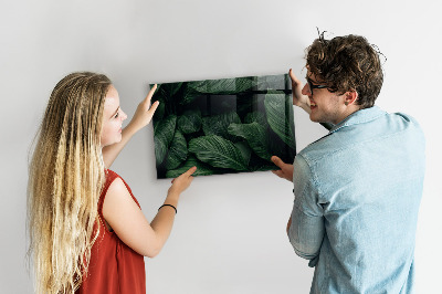 Magnetická tabule na zeď motiv tropická monstera