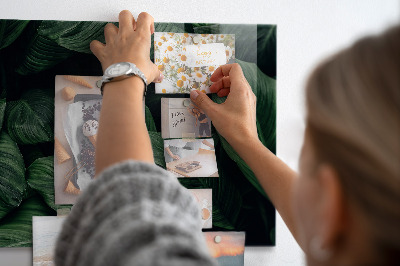 Magnetická tabule na zeď motiv tropická monstera