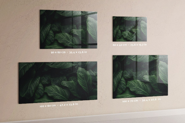Magnetická tabule na zeď motiv tropická monstera