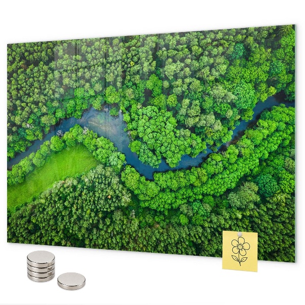 Magnetická tabule na zeď motiv řeka v lese