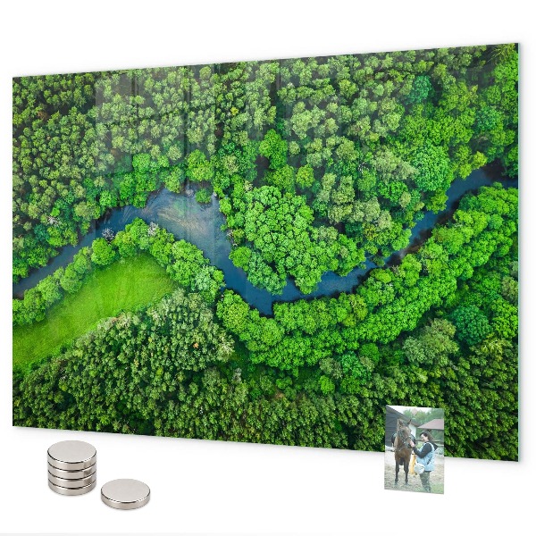 Magnetická tabule na zeď motiv řeka v lese