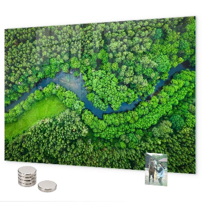 Magnetická tabule na zeď motiv řeka v lese