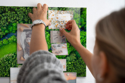 Magnetická tabule na zeď motiv řeka v lese