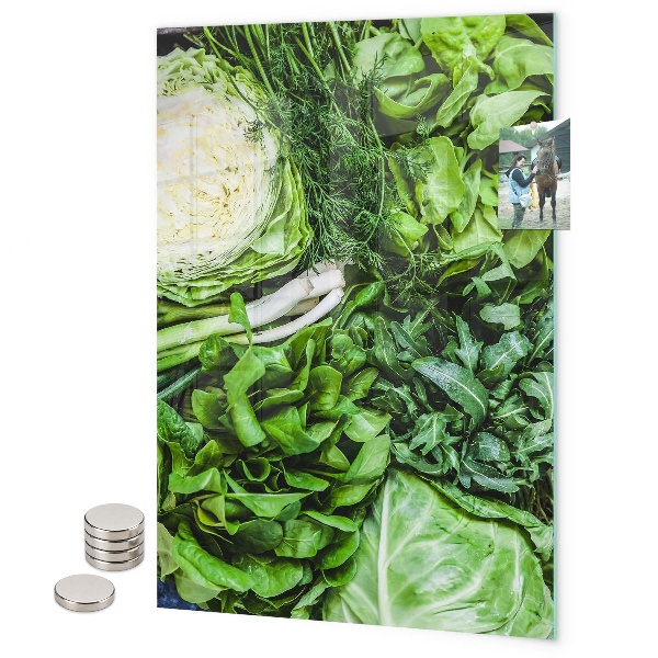 Tabule na magnety Tmavé tropické listy