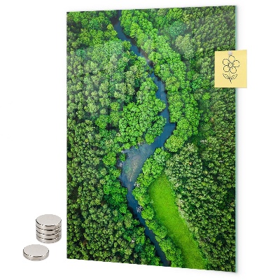 Magnetická nástěnka Lesní stromy řeka
