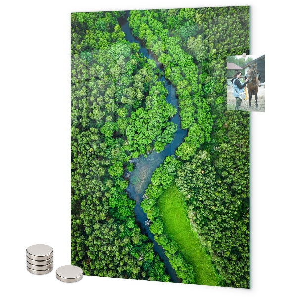 Magnetická nástěnka Lesní stromy řeka