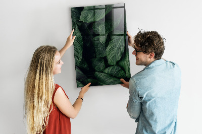 Popisovatelná magnetická tabule Zelená tabule na poznámky a fotografie